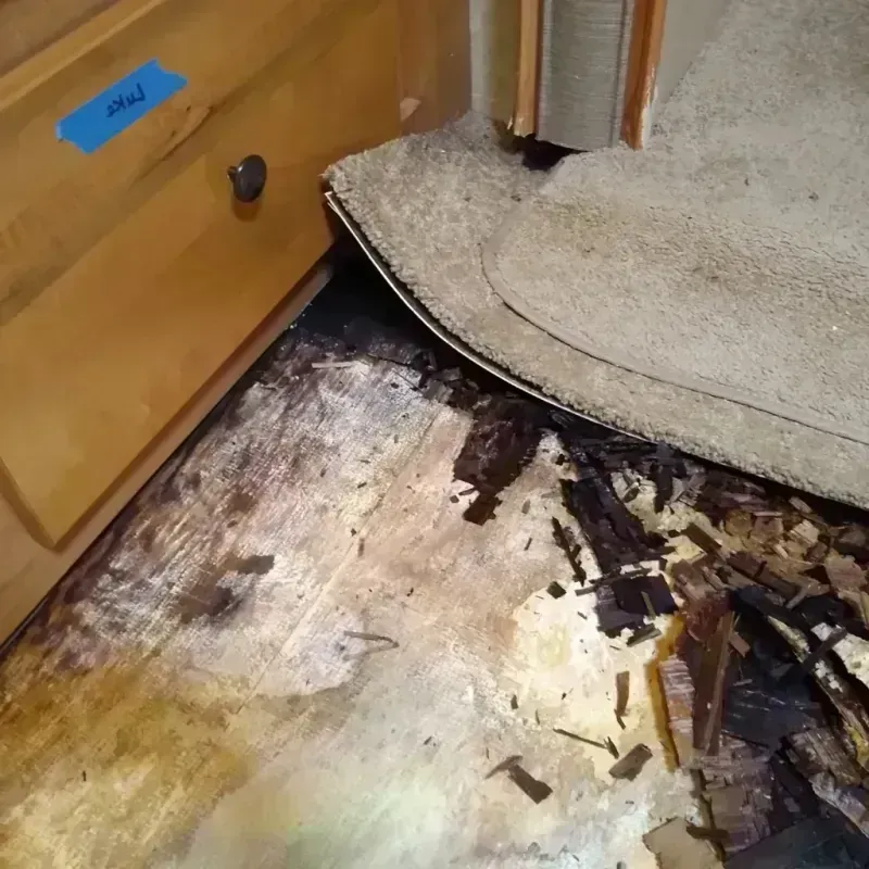 Best Wood Floor Water Damage Service in Lennox, CA